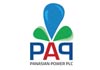 PANASIAN POWER PLC logo
