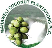 MAHAWELI COCONUT PLANTATIONS PLC logo