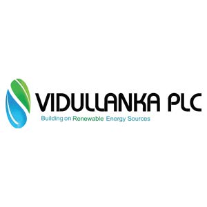 VIDULLANKA PLC logo